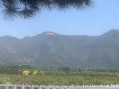 -十三陵水库