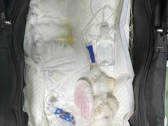 -北京观赏动物医院·24小时大型综合·猫专科·异宠专科