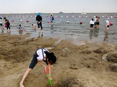 -碧海金沙