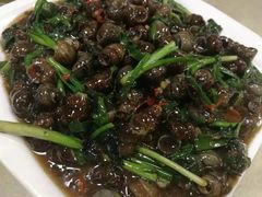 炒螺-旺角美食城(素龙店)