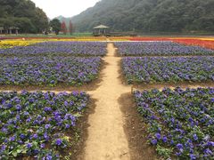 -广州市石门国家森林公园