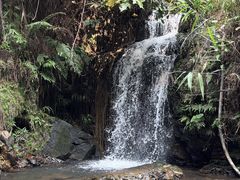 -佛山市三水区大南山森林公园