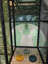 -MELAND CLUB亲子乐园·派对·餐厅(北京芳圆里ID MALL店)