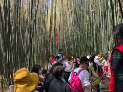 -竹泉村旅游度假区