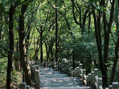 -灵岩山风景区