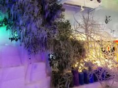 -新安江山水画廊风景区