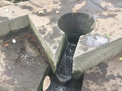 -成都市活水公园