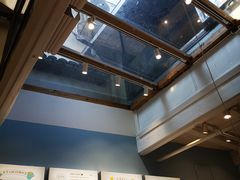 -猫的天空之城概念书店(杭州南宋御街店)