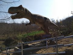 -千年银杏谷文化旅游区