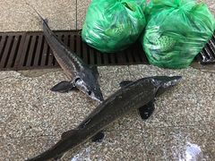 -天津金元宝滨海农产品交易市场(共发大道)