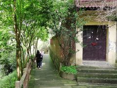 -南山植物园
