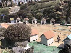 -阿苏山