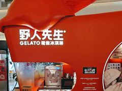 -野人先生现做冰淇淋(北京王府井东方新天地店)