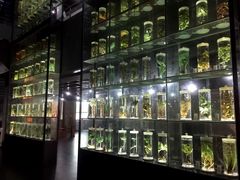-广东中医药博物馆