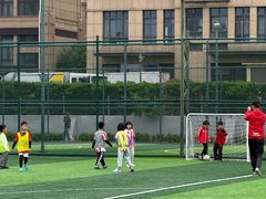 -小赛虎少儿足球培训(南翔校区)