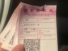 -枫花园汽车电影院(朝阳公园店)