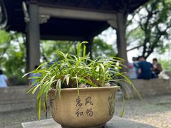 -沧浪亭