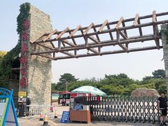 -塘沽森林公园