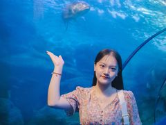 -左海海底世界