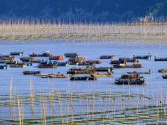 -小皓村