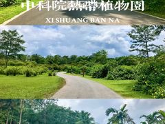 -中国科学院西双版纳热带植物园