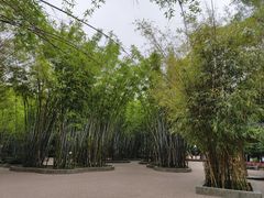 -晓港公园