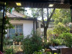 -家烧面馆【南山路知名经典面食】