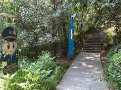 -九曜山