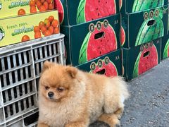 店内环境-西郊国际农产品交易中心