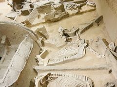 -洛阳周王城天子驾六博物馆