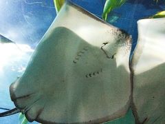 -福州罗源湾海洋世界旅游区