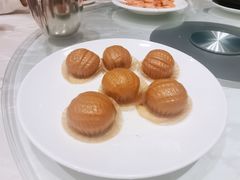 -大东海海鲜酒楼(渔人码头总店)