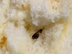 -苹果花园(昌里东路店)