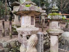 -奈良公园
