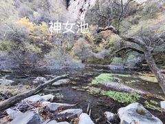 -叠溪松坪沟景区