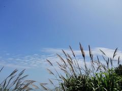 -嵊泗基湖沙滩