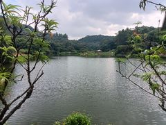 -南国桃园旅游度假区