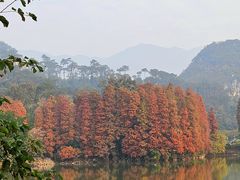 -星湖旅游景区七星岩