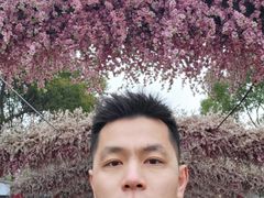 -南汇桃花村