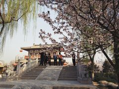 -西安青龙寺遗址景区
