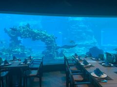 -海棠湾洲际-涛·海底餐厅·美人鱼·自助餐·海底隧道