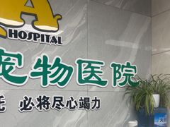 -半岛宠物医院24小时(白果林店)