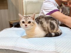 -宠爱国际动物医院·消化内科·心肾内科·ISFM猫友好(望京店)