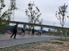 -永定河休闲森林公园