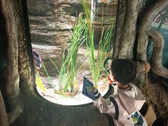 -沈阳海洋探索中心