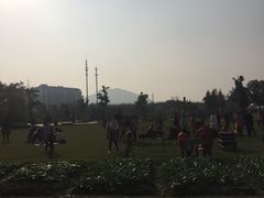 -田园东方蜜桃村的田野营地