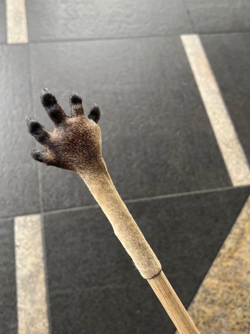 澳洲特产,袋鼠爪痒痒挠#神奇动物在哪里