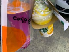 -CoCo都可(东台德润店)