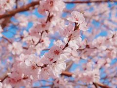 -海棠花溪(元大都城垣遗址公园)