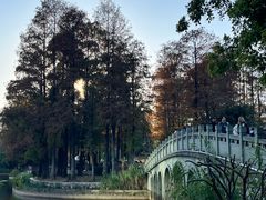 -四海公园(南山区)